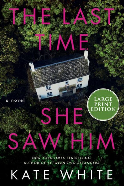 The Last Time She Saw Him: A Novel