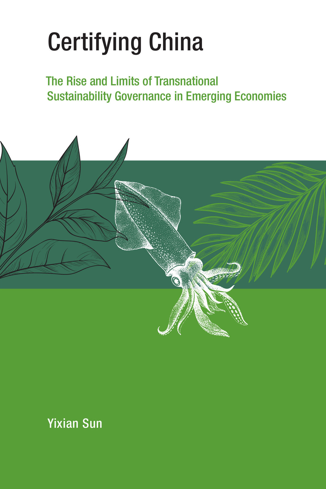 Certifying China: The Rise and Limits of Transnational Sustainability Governance in Emerging Economies