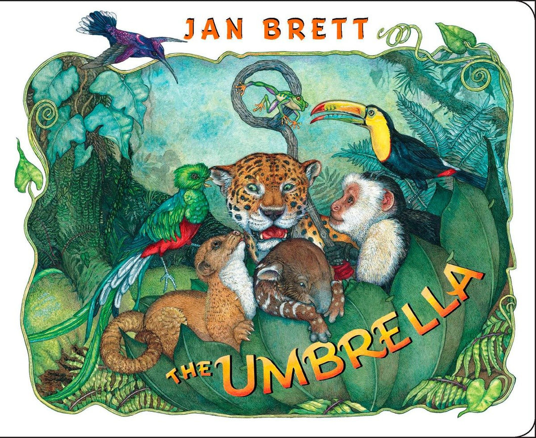 The Umbrella: board book