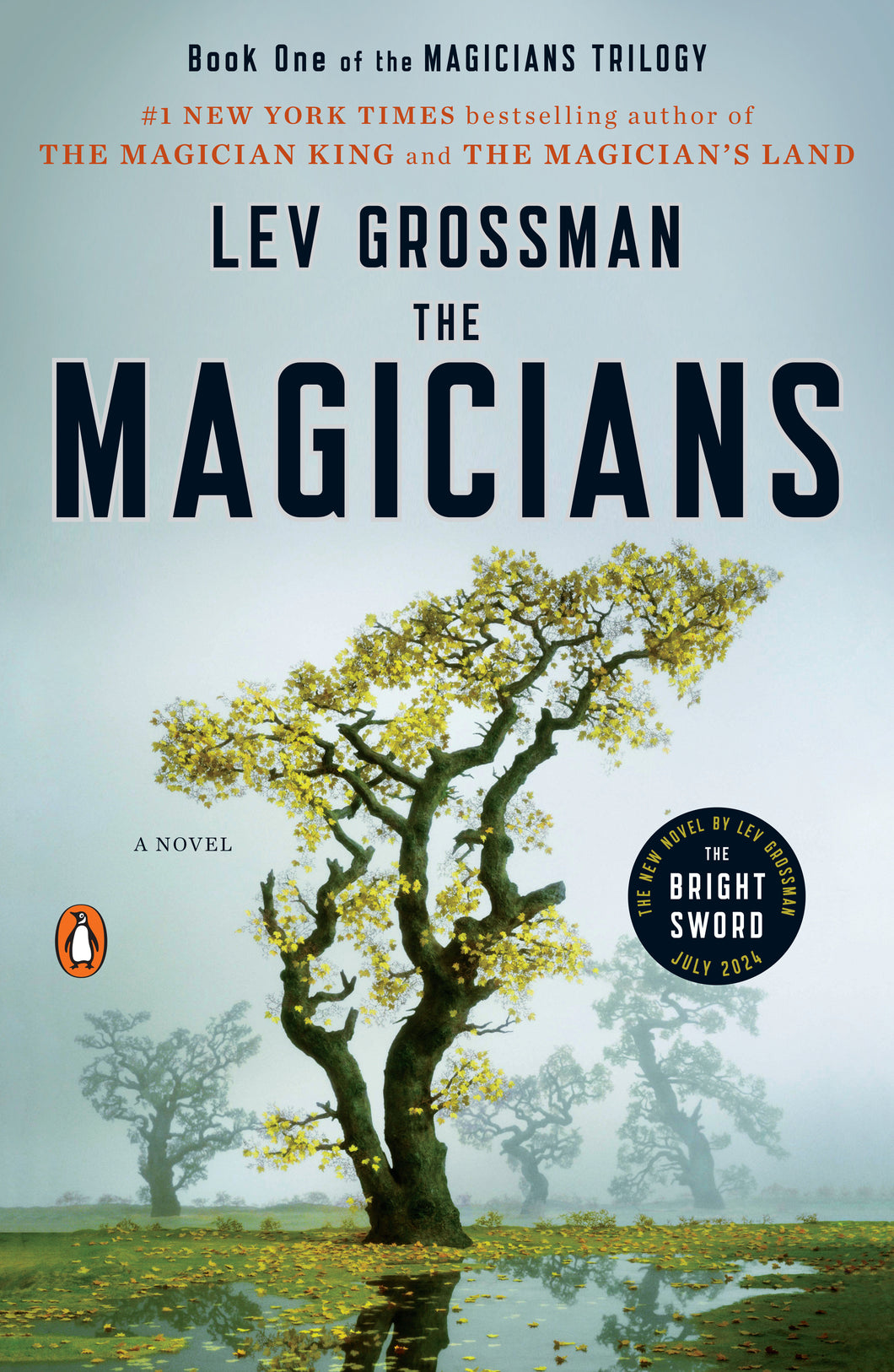 The Magicians: A Novel