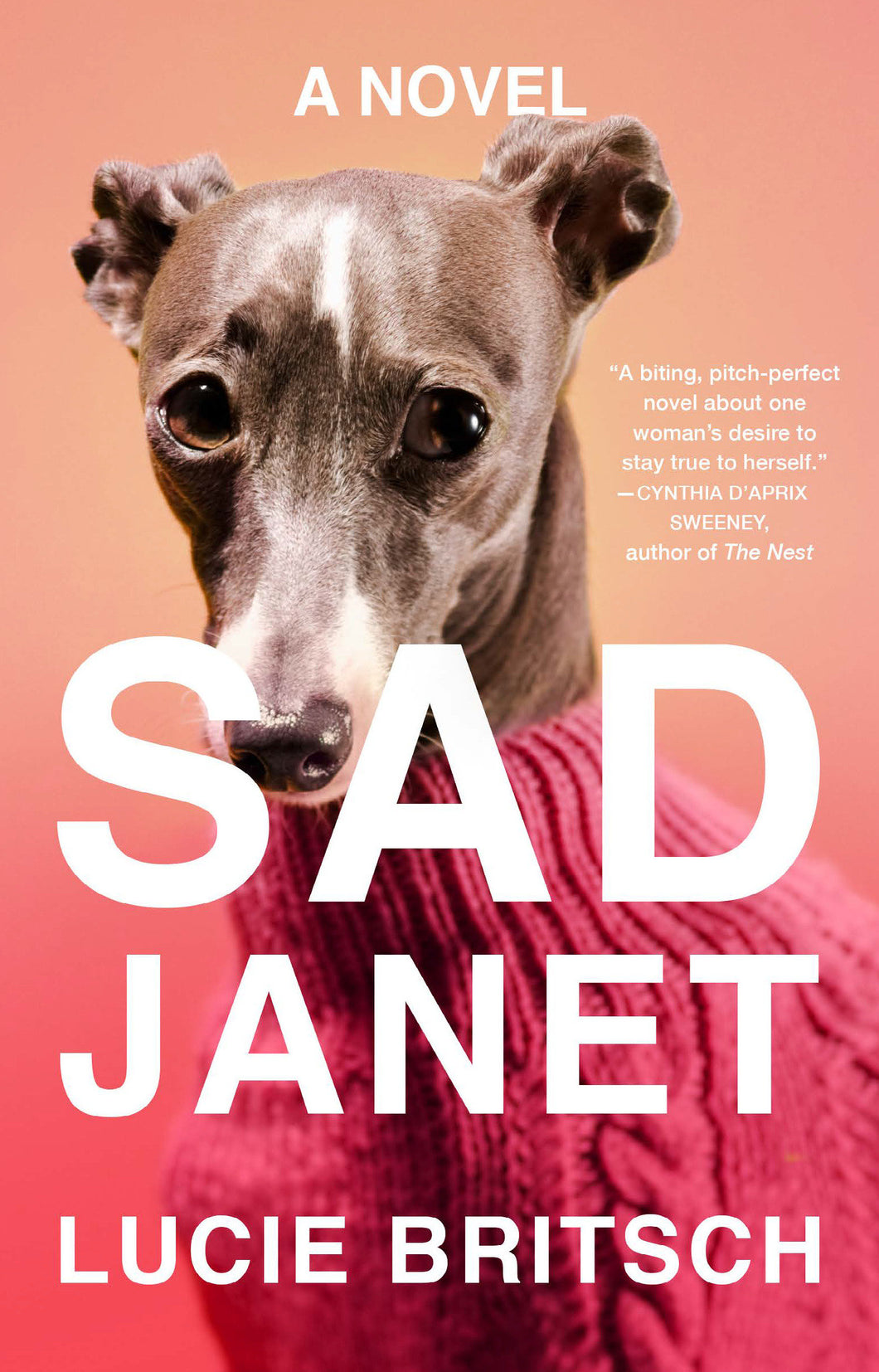 Sad Janet: A Novel