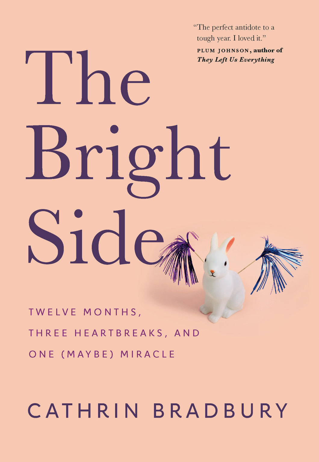 The Bright Side : Twelve Months, Three Heartbreaks, and One (Maybe) Miracle
