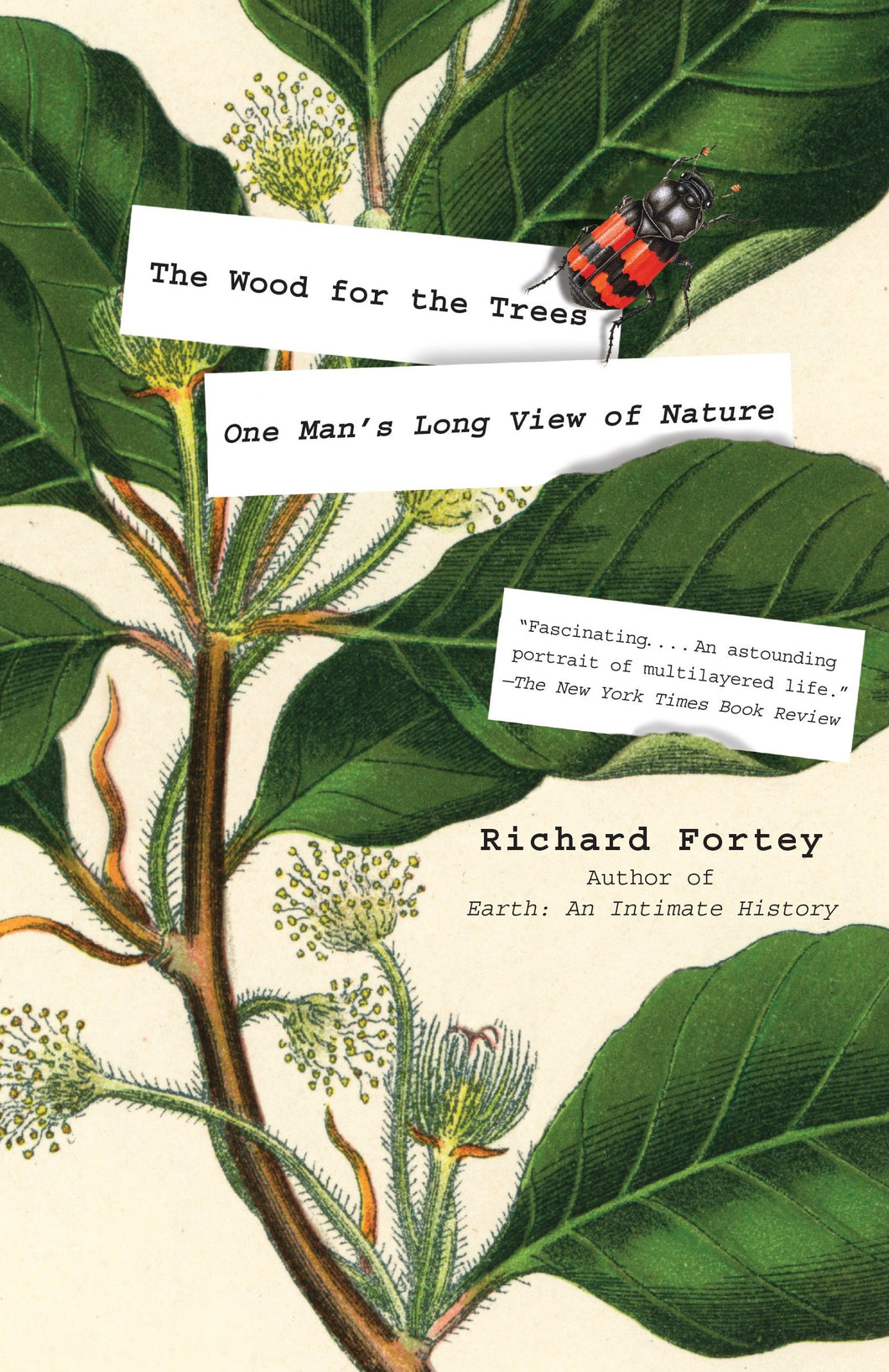 The Wood for the Trees: One Man's Long View of Nature