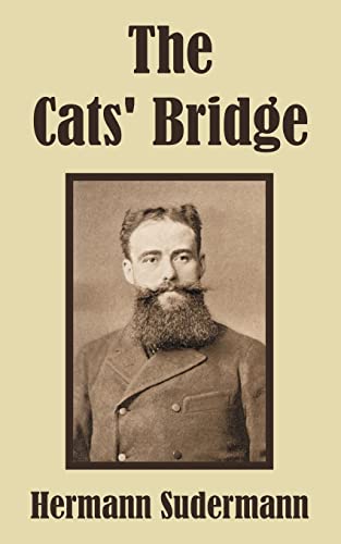 The Cats' Bridge