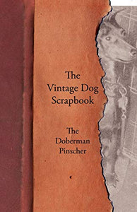 The Vintage Dog Scrapbook - The Doberman Pinscher