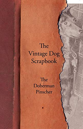 The Vintage Dog Scrapbook - The Doberman Pinscher