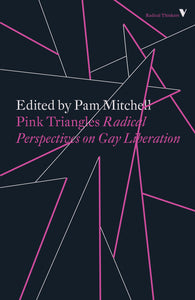 Pink Triangles: Radical Perspectives on Gay Liberation