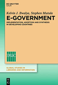 E-Government: Implementation, Adoption and Synthesis in Developing Countries
