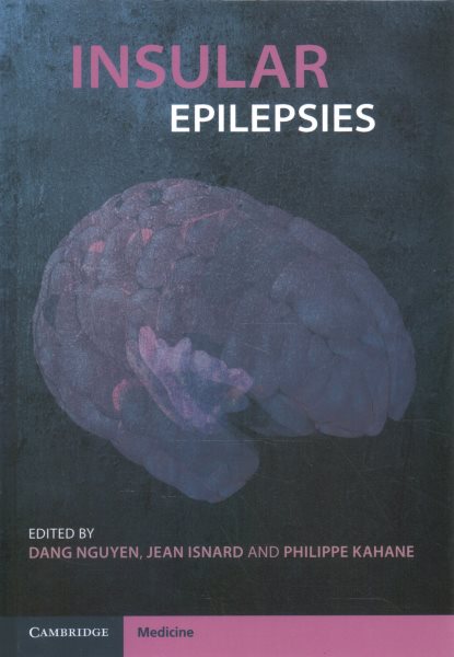 Insular Epilepsies