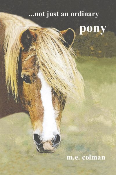 ...not just an ordinary pony