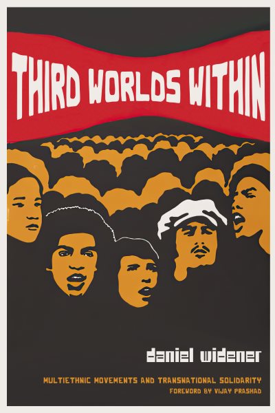 Third Worlds Within: Multiethnic Movements and Transnational Solidarity