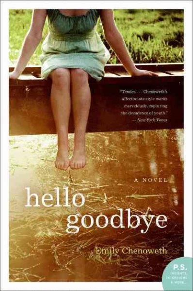 Hello Goodbye: A Novel