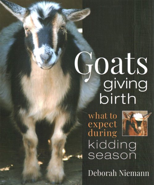 Goats Giving Birth: What to Expect During Kidding Season