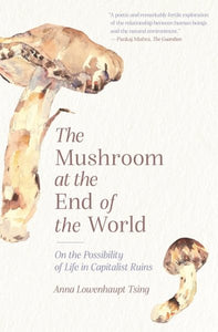 Mushroom at the End of the World: On the Possibility of Life in Capitalist Ruins