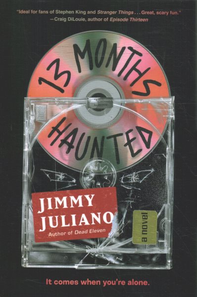 13 Months Haunted: A Novel