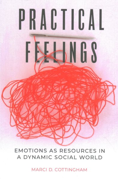 Practical Feelings: Emotions as Resources in a Dynamic Social World