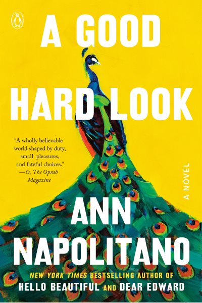 A Good Hard Look: A Novel