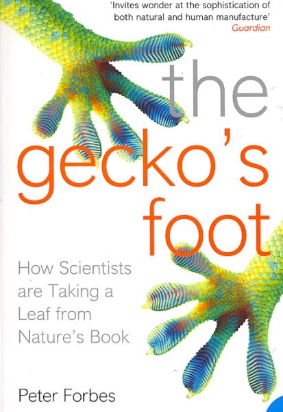 Der Fuß des Geckos: Wie sich Wissenschaftler ein Beispiel an der Natur nehmen (überarbeitet)