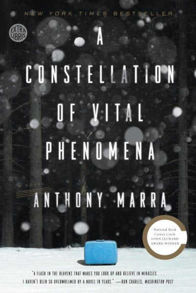 A Constellation of Vital Phenomena: A Novel