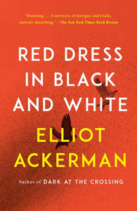 Rotes Kleid in Schwarz und Weiß: Ein Roman