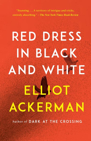 Rotes Kleid in Schwarz und Weiß: Ein Roman