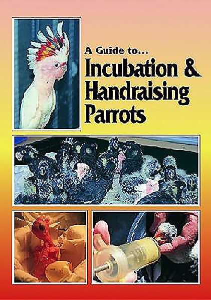 A Guide to Incubation & Handraising Parrots