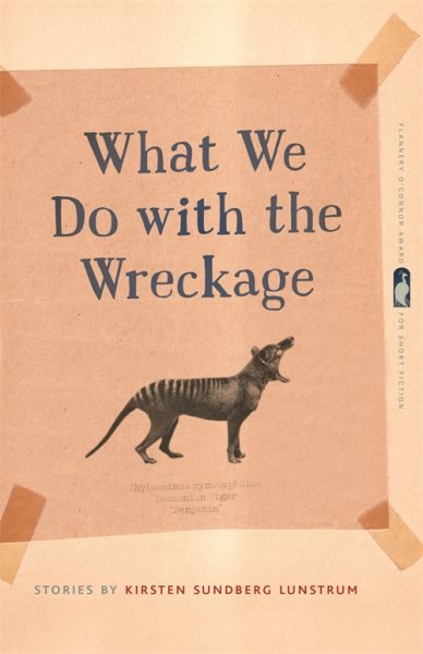 What We Do with the Wreckage: Stories