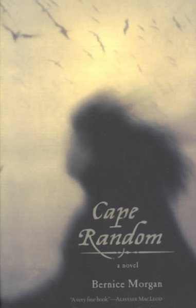 Cape Random: A Novel