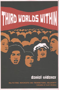 Third Worlds Within: Multiethnic Movements and Transnational Solidarity