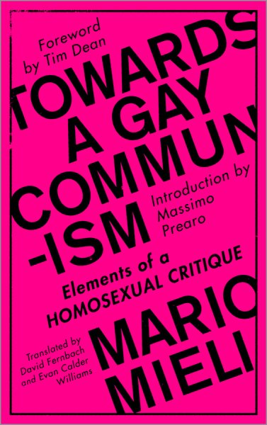 Auf dem Weg zu einem schwulen Kommunismus: Elemente einer homosexuellen Kritik
