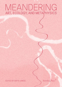 Meandering: Art, Ecology, and Metaphysics