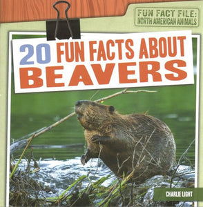 20 Fun Facts about Beavers