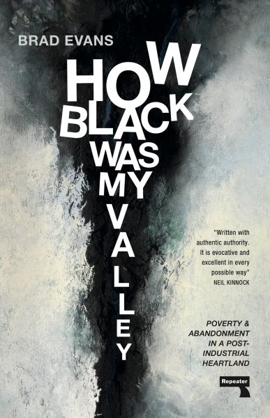 How Black Was My Valley: Poverty and Abandonment in Post-Industrial Wales