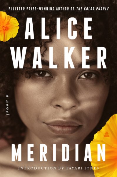 Meridian: A Novel