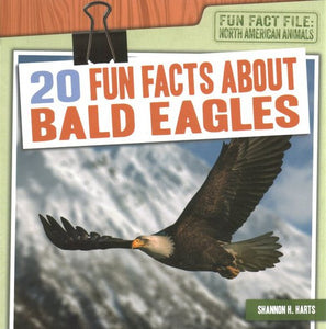 20 Fun Facts about Bald Eagles