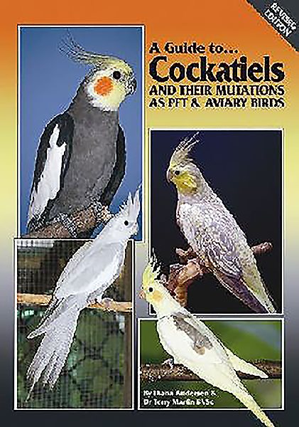 A Guide to Cockatiels and their Mutations as Pet & Aviary Birds