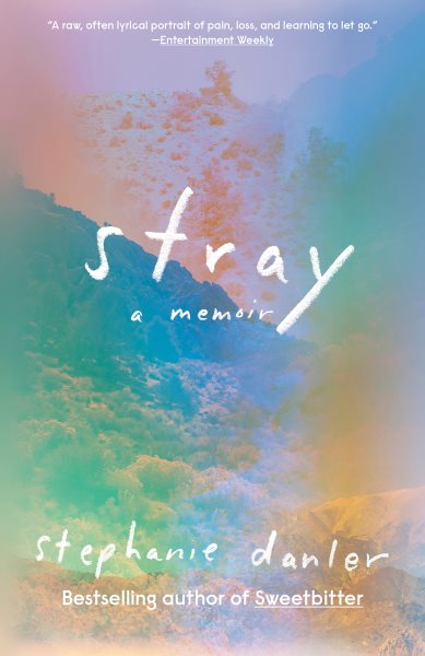 Stray: Eine Erinnerung