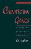 Chinatown Gangs: Extortion, Enterprise, and Ethnicity (Revised and REV)