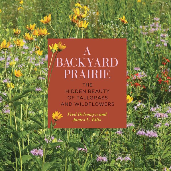 A Backyard Prairie: The Hidden Beauty of Tallgrass and Wildflowers (First Edition, 1st)