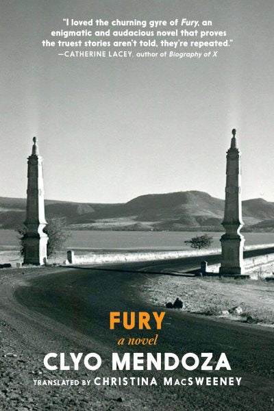 Fury: A Novel