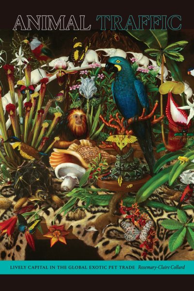 Tierhandel: Munteres Kapital im globalen Handel mit exotischen Haustieren