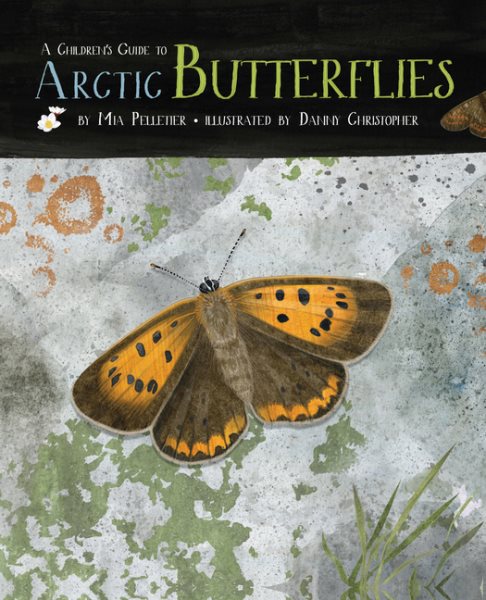 A Children's Guide to Arctic Butterflies (English)