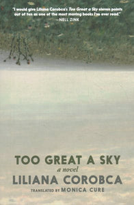 Too Great a Sky: A Novel