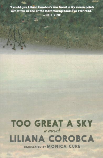 Too Great a Sky: A Novel