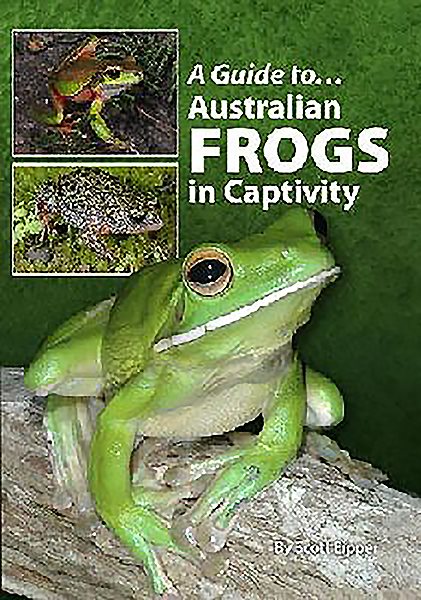 A Guide to Australian Frogs in Captivity