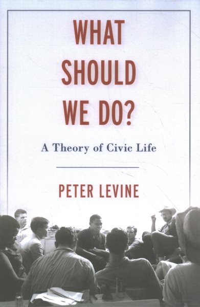 What Should We Do?: A Theory of Civic Life