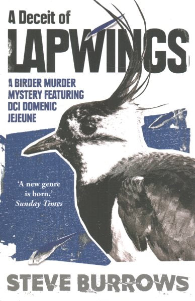 A Deceit of Lapwings