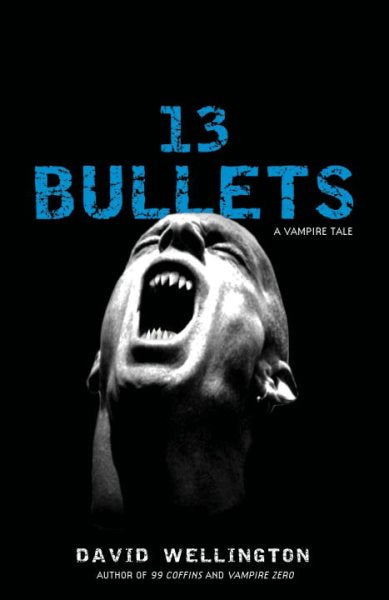 13 Bullets: A Novel