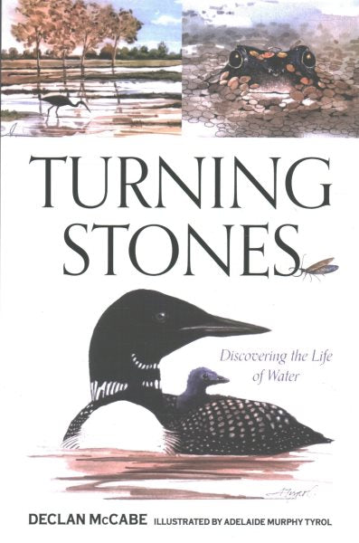 Turning Stones: Discovering the Life of Water