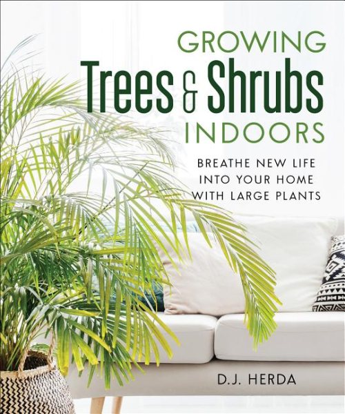 Growing Trees and Shrubs Indoors: Breathe New Life Into Your Home with Large Plants